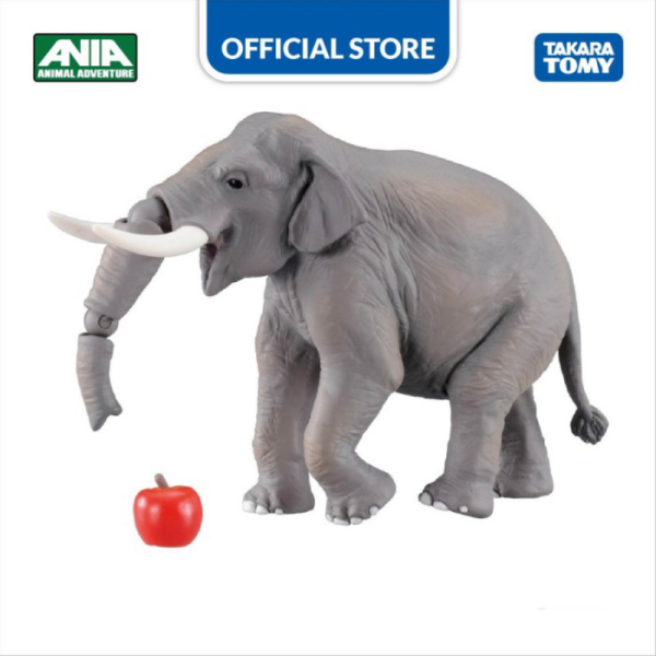 

Dijual Ania AS-33 Indian Elephant Berkualitas