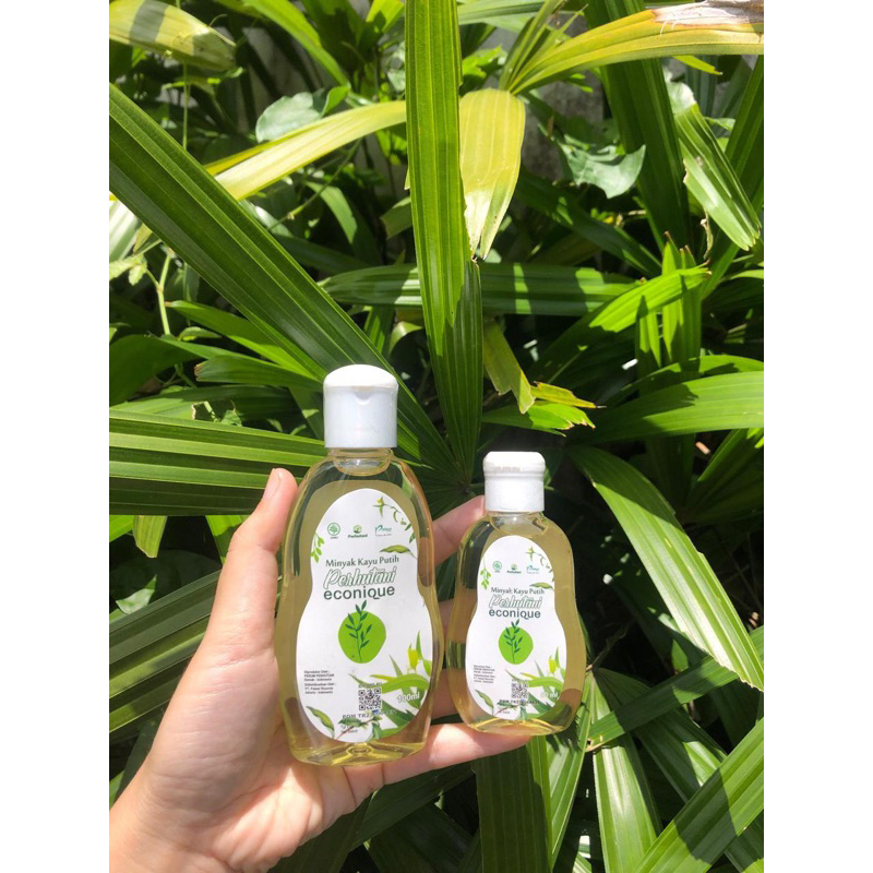 Minyak Kayu Putih perhutani