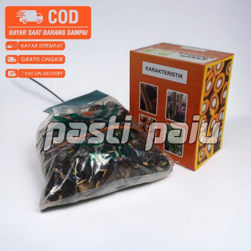 bibit benih sawit unggul Topaz berkualitas