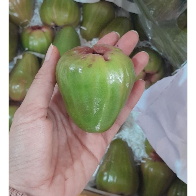 

Jambu Cincalo 2 kg
