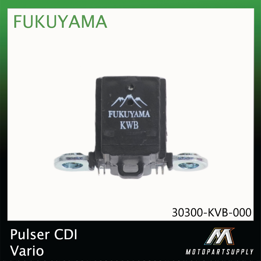 Fukuyama Pulser CDI Vario