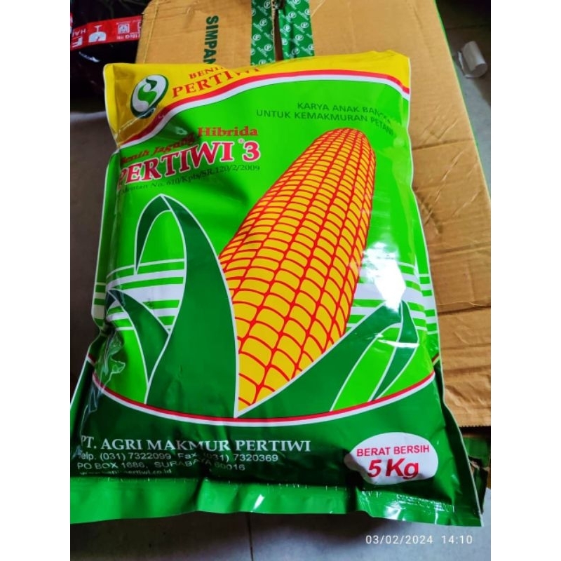 benih jagung hibrida pertiwi 3 isi kemasan 5kg  original