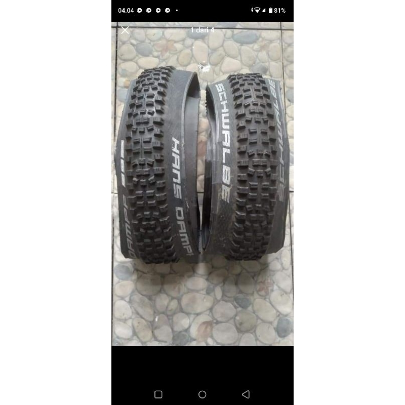 BAN SCHWALBE HANS DAMPF