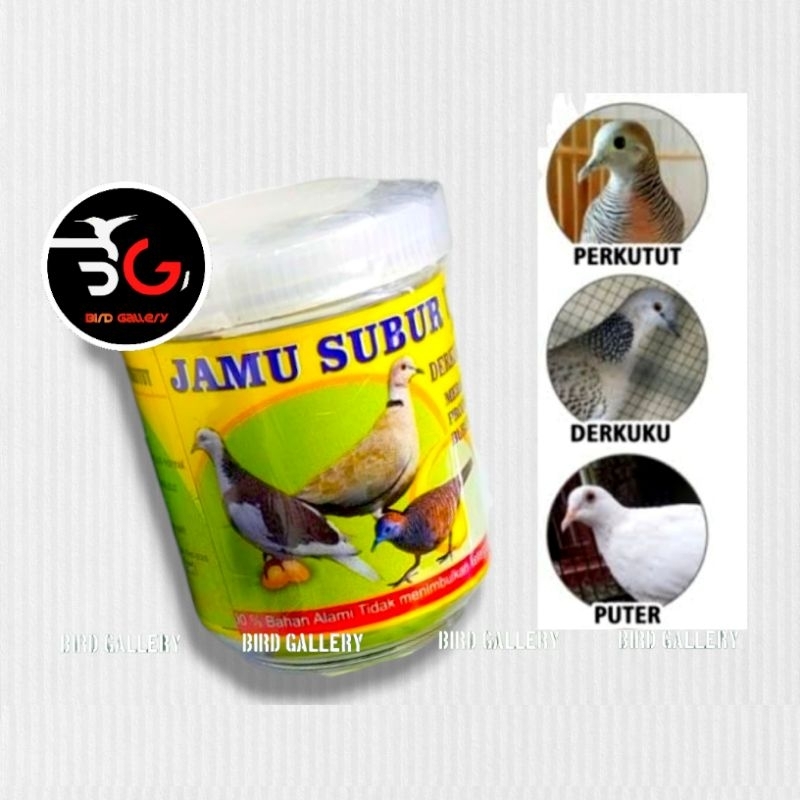 JAMU SUBUR URITAN TEKUKUR