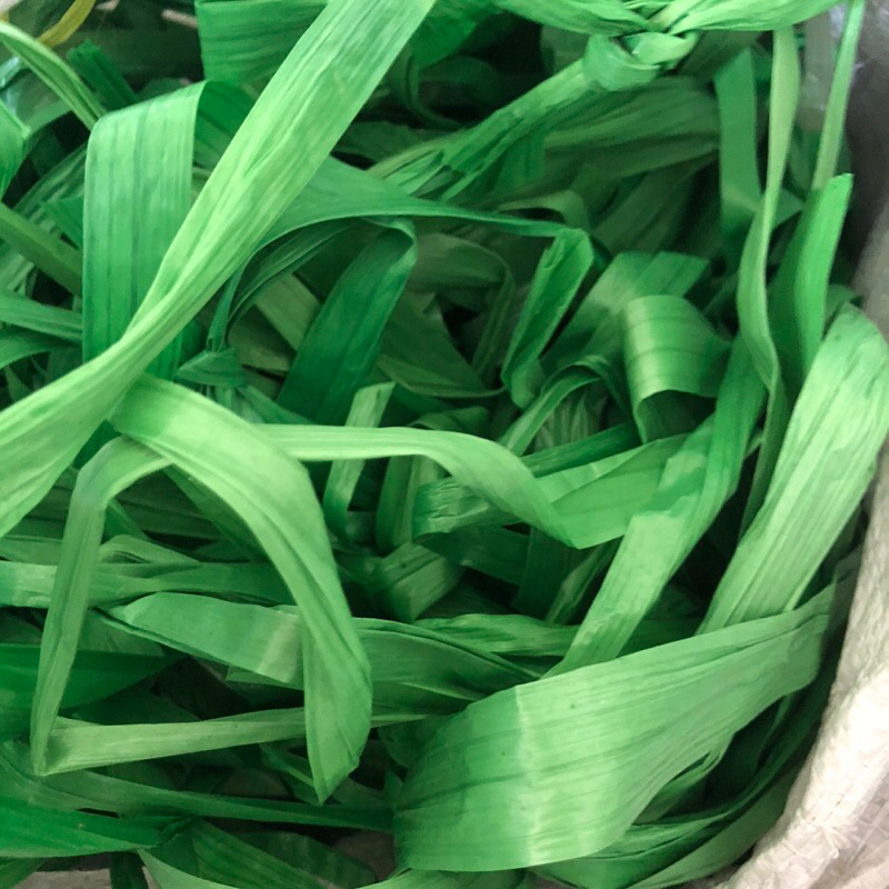 

Tali Rafia Potongan 1 KG | Tali Rafia Murah | Tali Pengikat Rapia