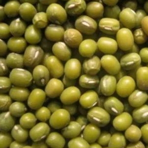 

kacang hijau mentah 500gr