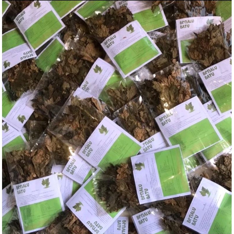 

Benalu kering 100% ORI ( 10 bungkus 200.000 )