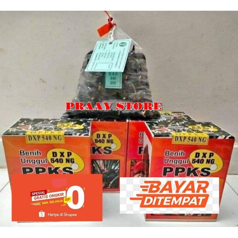 bibit benih kecambah kelapa sawit unggul PPKS 540 MEDAN