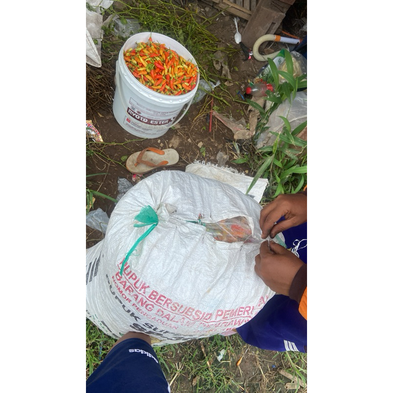 

nota cabai lombok cabe /100gr