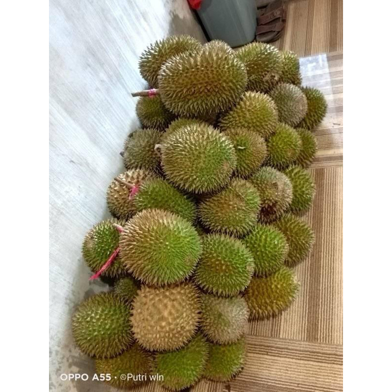 

Durian Super Jumbo Murah Manis 1 Buah atau /Buah 40rb