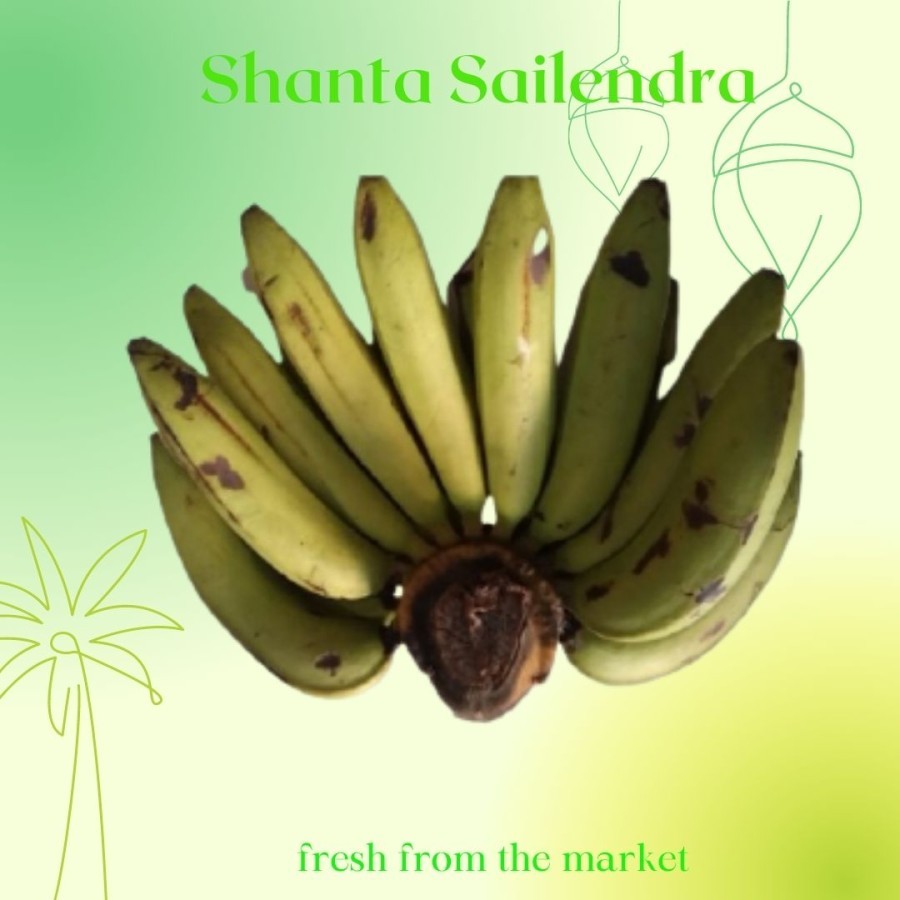 

PISANG HIJAU PISANG IJO 1 SISIR