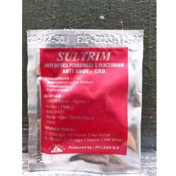 SULTRIM OBAT MENGATASI AYAM SAKIT BATUK DAN PILEK NGOROK