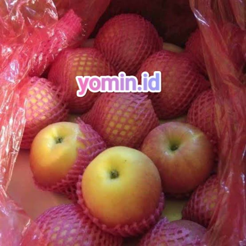 

Buah Apel Segar (kecil) 500gr