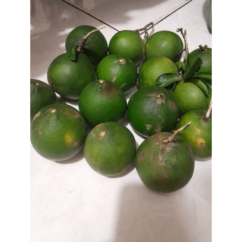 

Buah Jeruk Siam Banyuwangi 1 kg