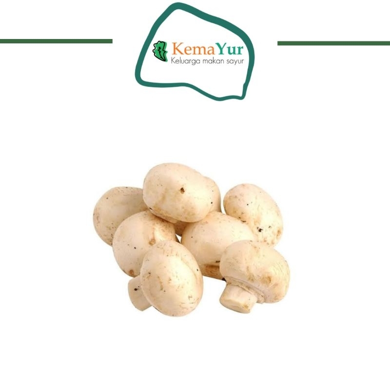 

JAMUR KANCING CHAMPIGNON GROSIR 1 KG