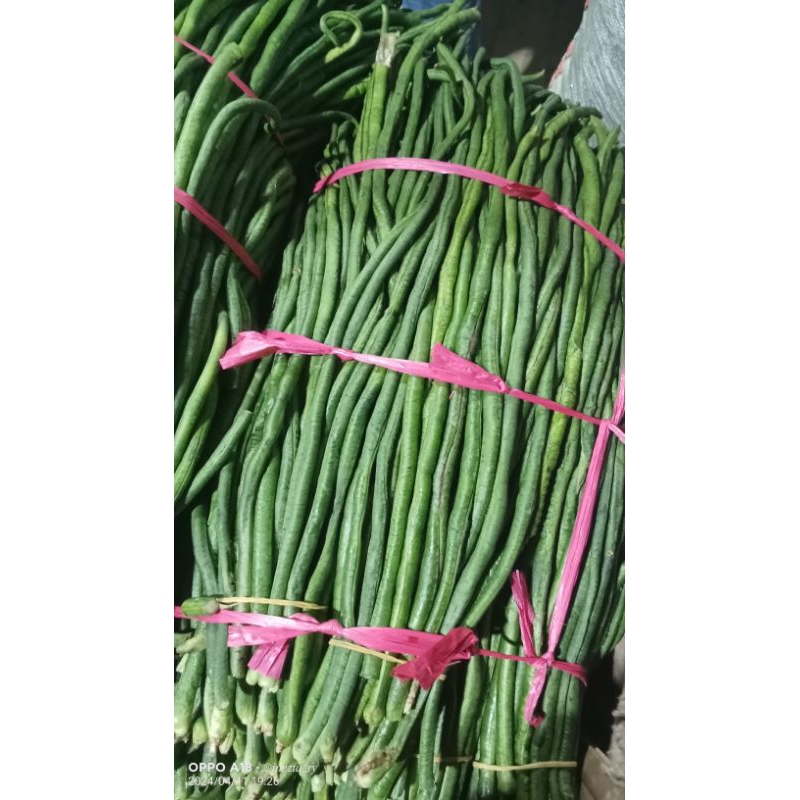 

kacang panjang 1kg