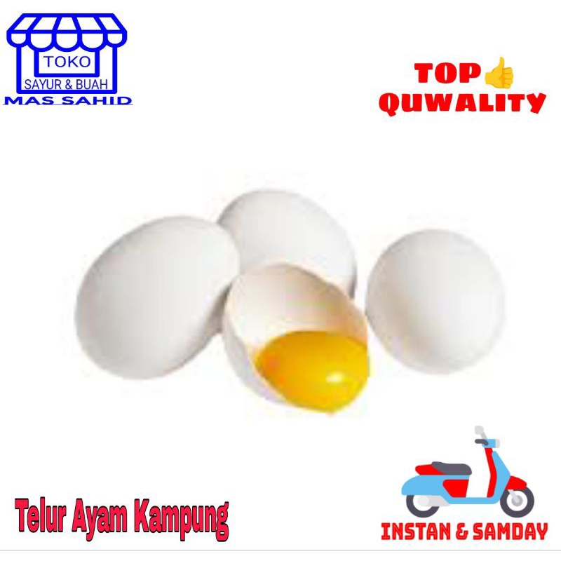 

Telur Ayam Kampung Telor Kampung 1 Butir KIRIM INSTAN & SAMDAY