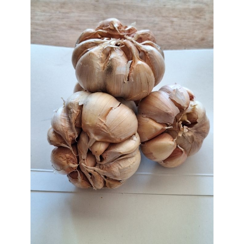

Bawang putih Honan