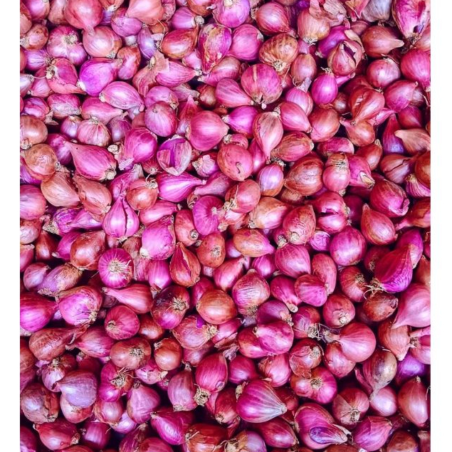 

BAWANG MERAH SUPER 250G