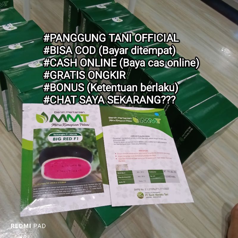 

Benih Semangka Big Red F1 (Tipe Redin, Super Jumbo kulit tebal hijau Gelap) isi 20 Gram Kadaluarsa 2025 Panjang Berbobot Cap Mitra Merdeka Tani