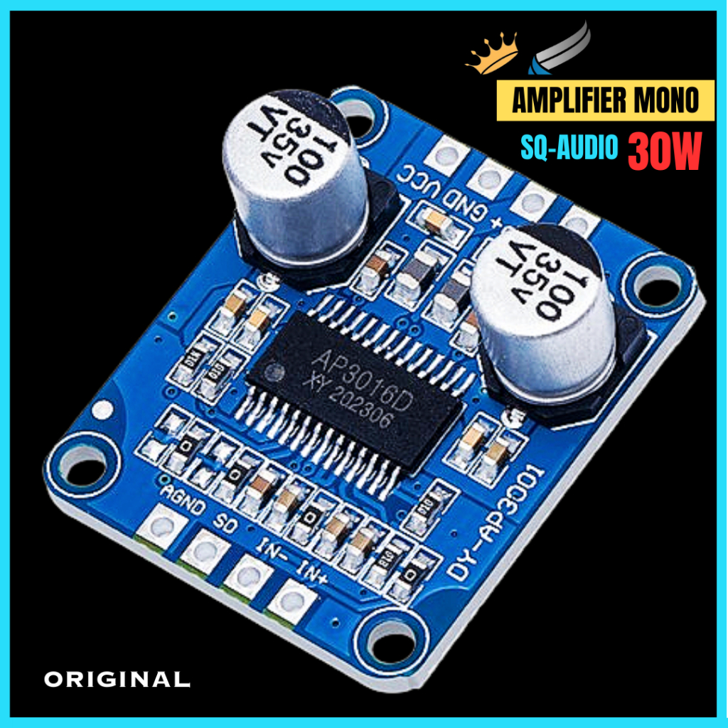 Mini HIgh Power Amplifier Mono 30W DIGITAL CLASS D HIFI SUBWOOFER