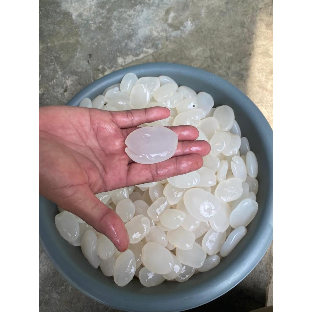 

Kolang Kaling Premium Tanpa Bahan Pemutih / Kimia