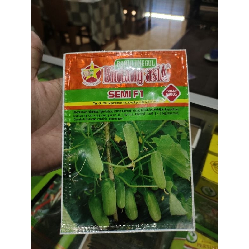 BENIH TIMUN SEMI 20 GRAM - BIBIT TIMUN KECIL/BABY/BINTANG ASIA