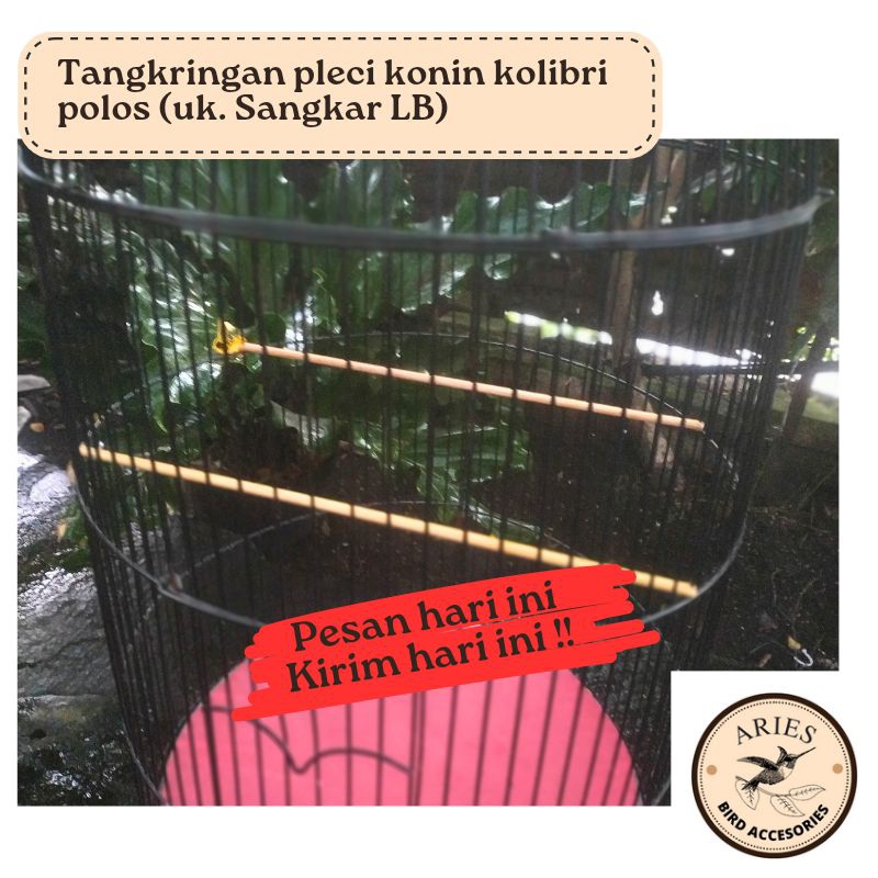 Tangkringan pleci konin kolibri polos (uk. sangkar LB)
