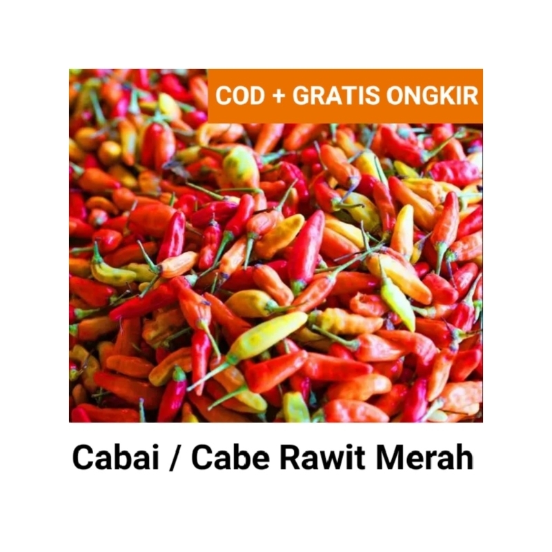 

Sayuran || Cabe Segar / Cabai Rawit Merah 100gr, 250gr dan 500gr