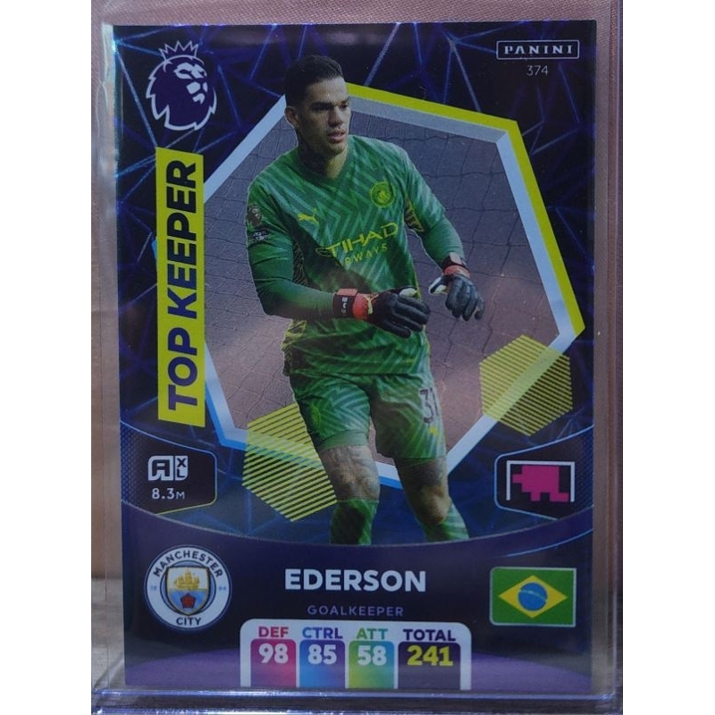 Panini football card premier league edition