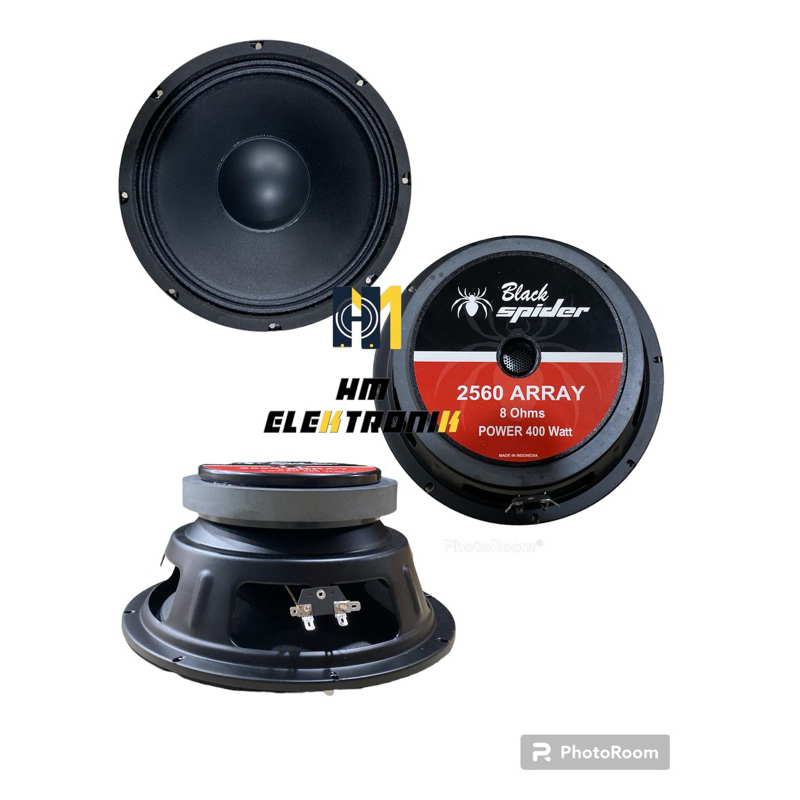 Speaker Black Spider 2560 ARRAY 10 inch