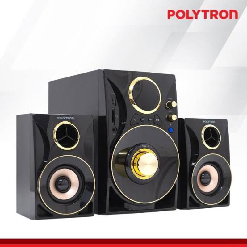 POLYTRON SPEAKER AKTIF PMA-9310