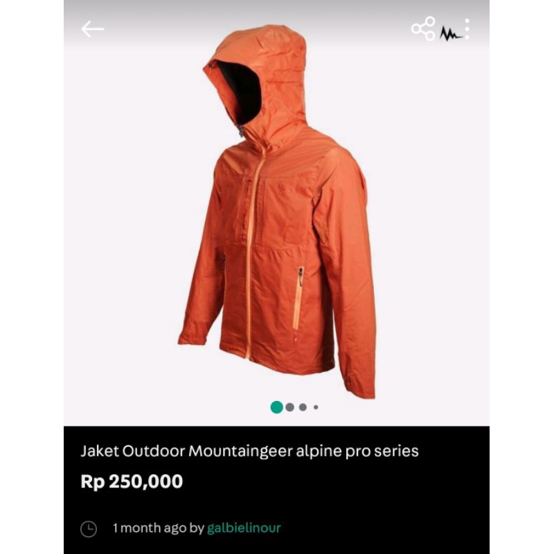 Mountaingeer alpine pro series size S