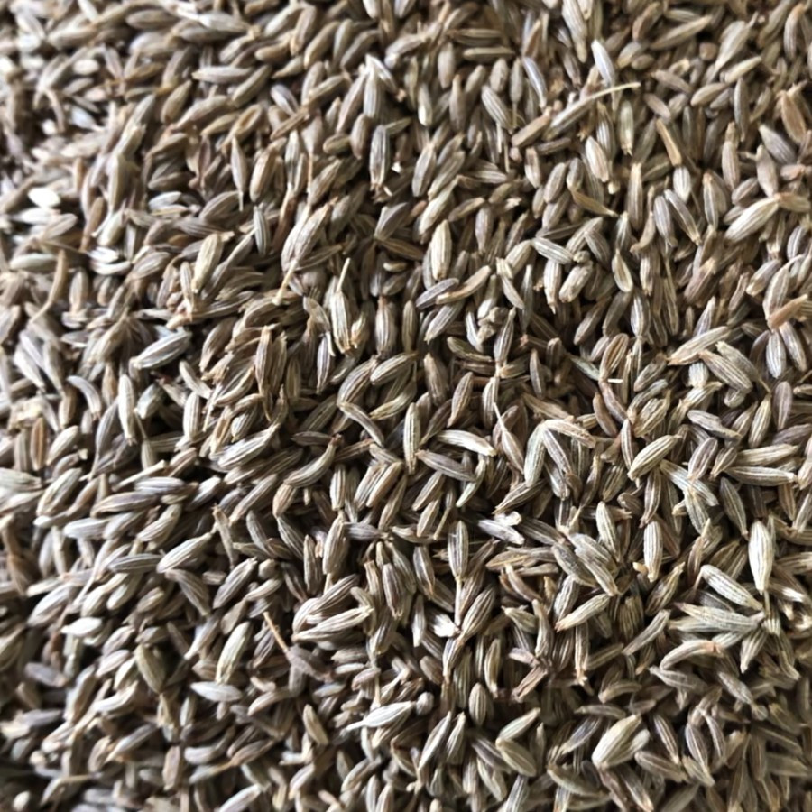 

Cumin Seed / Jintan Jeera / Jintan India 1 Kg
