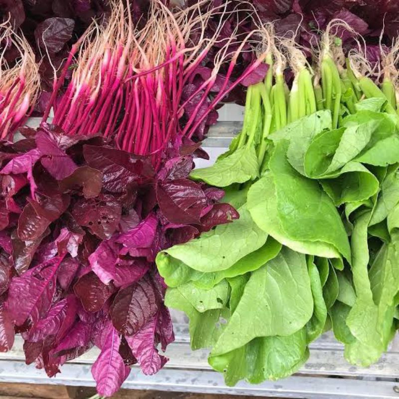 

SAYURAN BAYAM HIJAU/SAYUR BAYAM MERAH/SAYURAN BAYAM LORENG/SAYURAN SEGAR/SAYURAN HIJAU