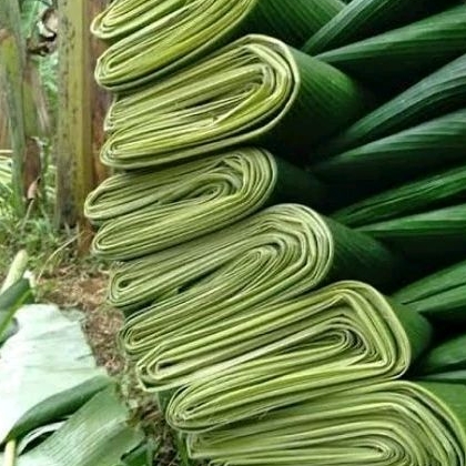 

Jual Daun Pisang 1KG (MURAH) GRADE A