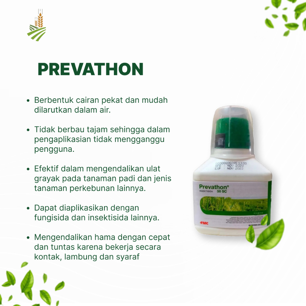 Pembasmi Hama Ulat | Prevathon Insektisida Sistemik
