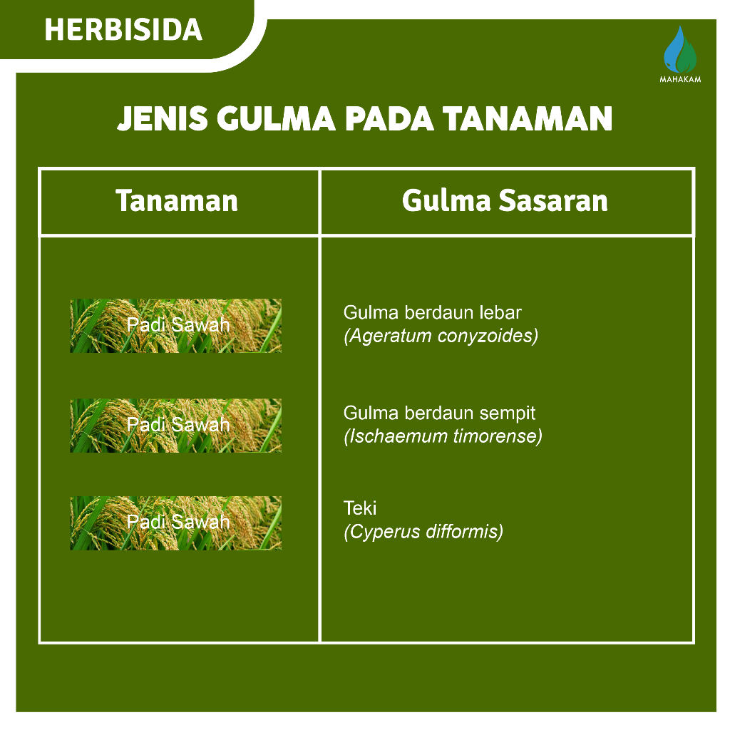Tujuh_Shop - Mahakam Crissler 405 Sc 250Ml Herbisida Pengendali Gulma Berdaun Lebar Shopee