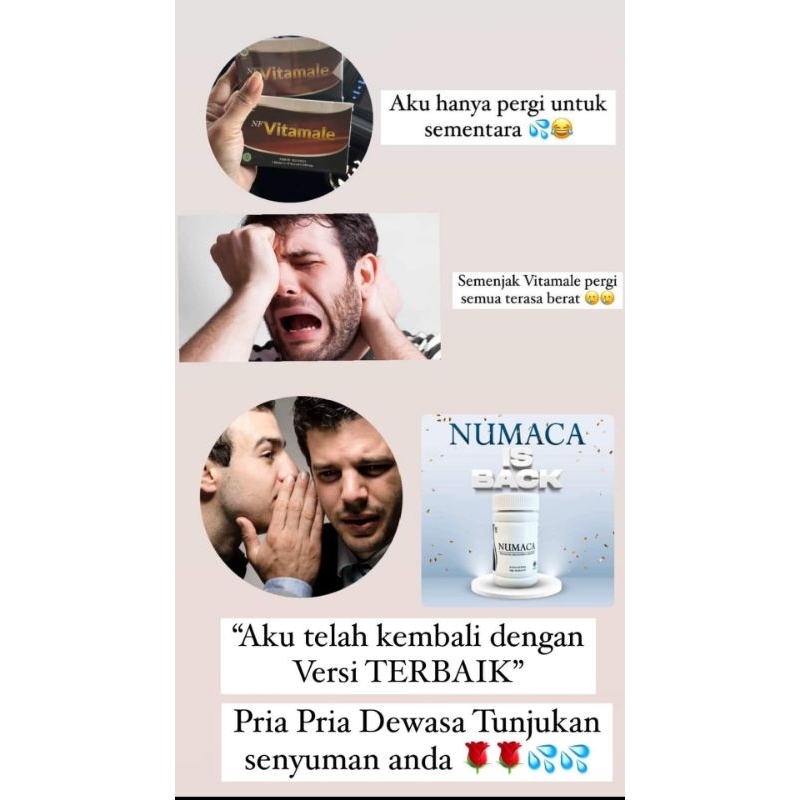 NUMACA ORIGINAL MEMBER RESMI HWI