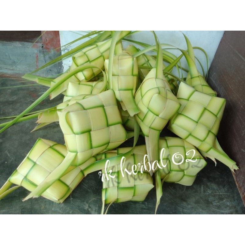

Kulit Ketupat Siap pakai Termurah Cangkang Ketupat FreshTinggal Isi Praktis