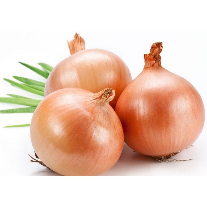 

Bawang Bombay Segar Pilihan