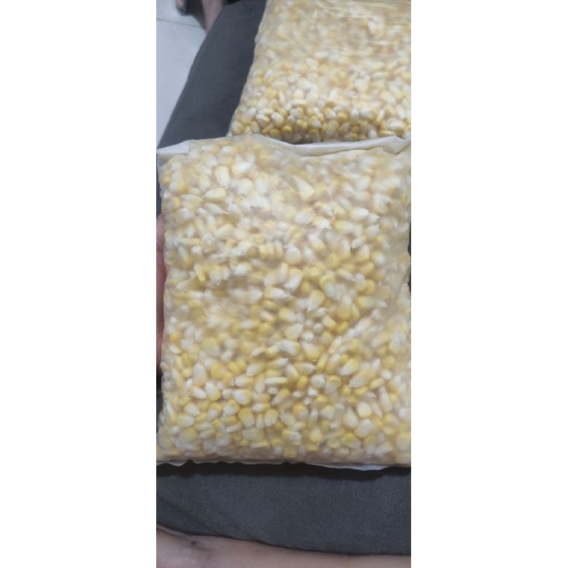 

Jagung manis Madu super pipil