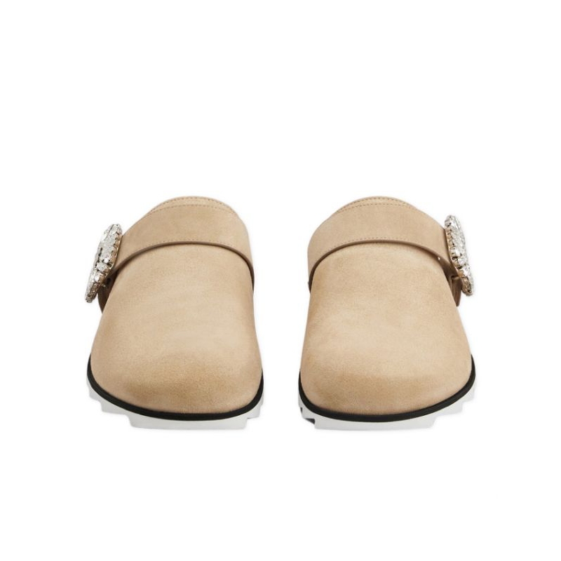 Roger vivier/sandal/sneakers/flat shoes/