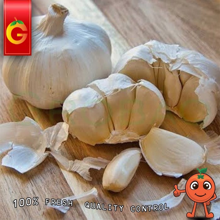 

Bawang Putih Fresh 250 Gram