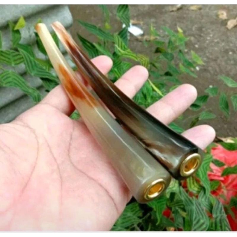 ONCE TANDUK KERBAU SUPER PADAT DAN PANJUANG