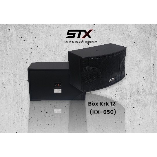 STX - BOX KRK : Box Karaoke 12" 200W Merk STX KX6