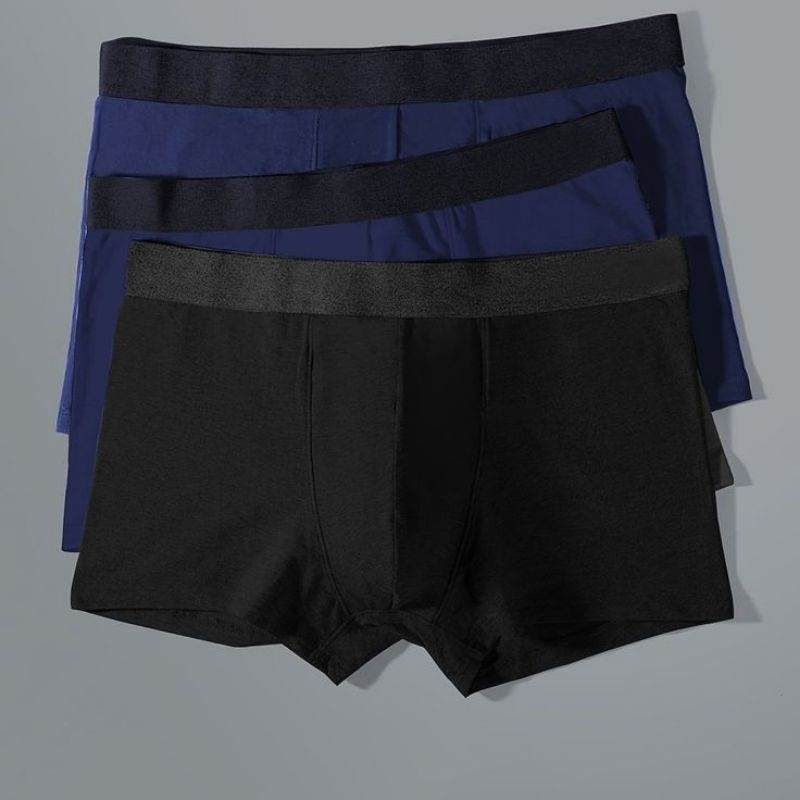 paket 1 lusin celana dalam pria celana renang shot pria dewasa boxer