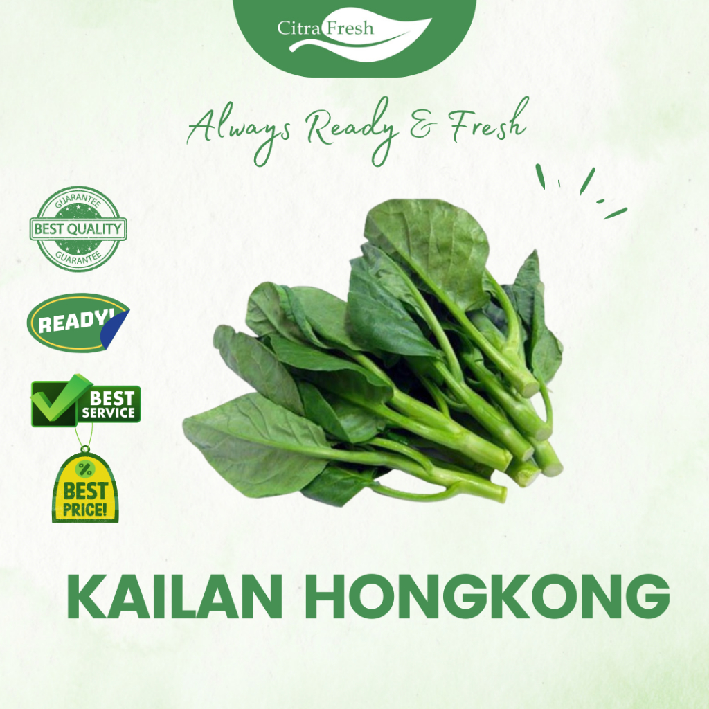 

CITRA FRESH - Kailan hongkong 250 Gram - Selalu Ready dan Fresh