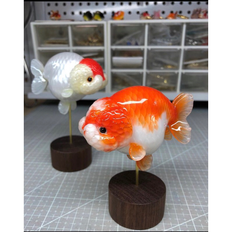 

Stiker Ikan Koki Ranchu 10CM