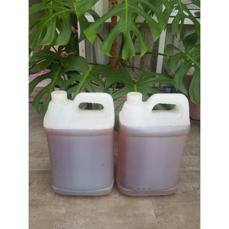 Eco Enzyme Pupuk Hayati Fresh Ramah Lingkungan